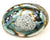 Abalone Shell 5-6"