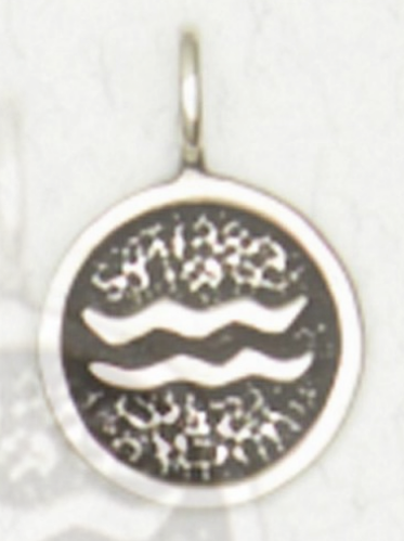 Zodiac Necklace Talismans Symbol