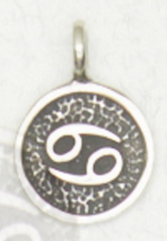 Zodiac Necklace Talismans Symbol