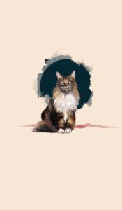 Pussycat Tarot