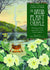 Druid Plant Oracle Deck