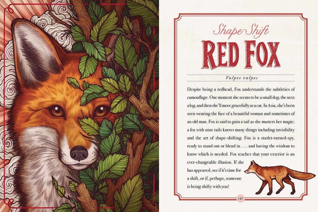 The Illustrated Bestiary by Maia Toll