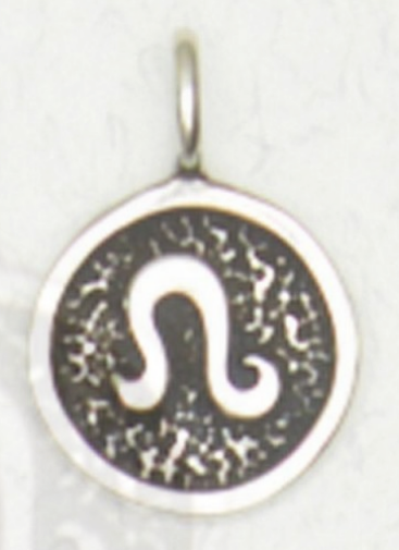 Zodiac Necklace Talismans Symbol