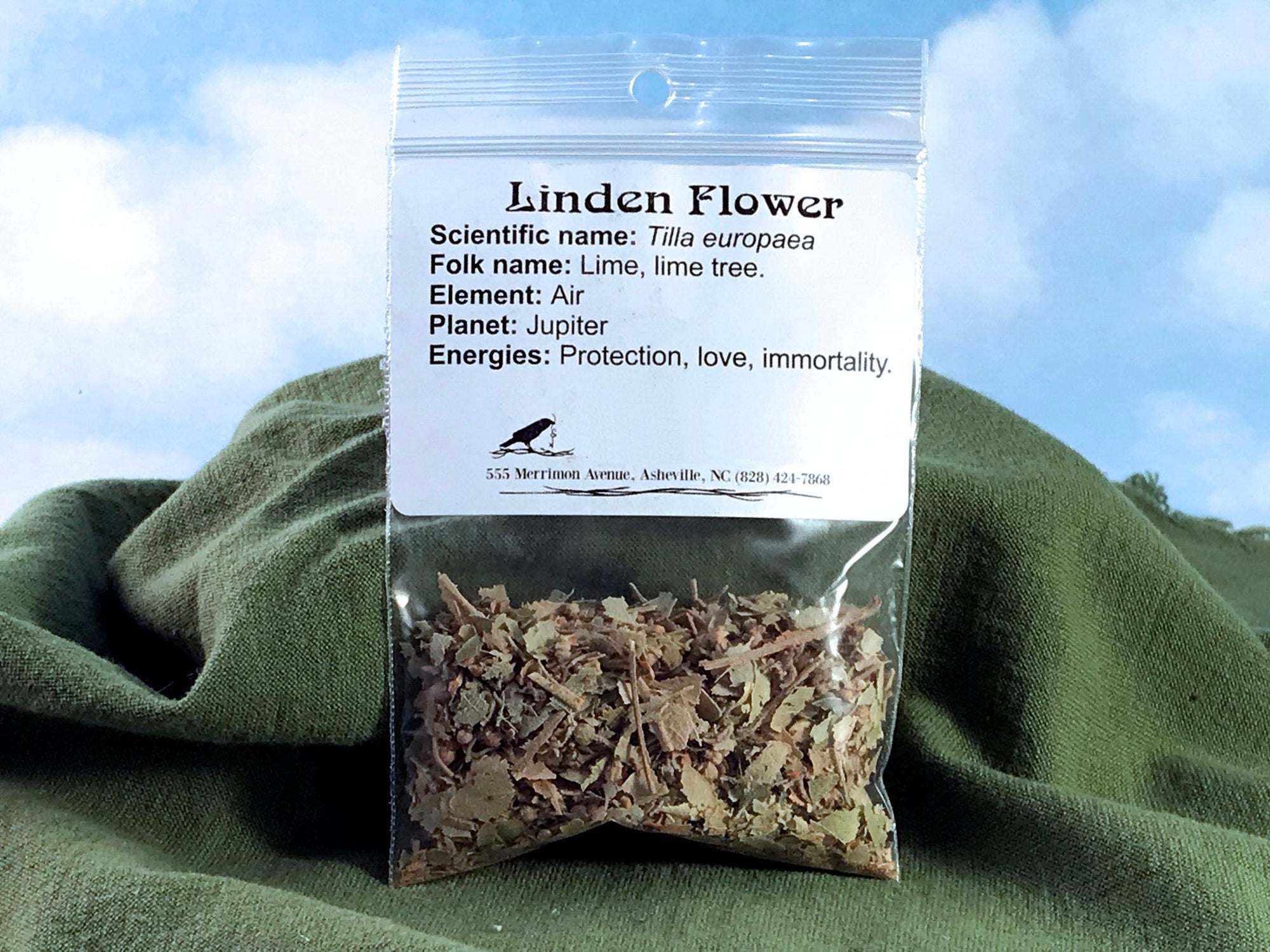 Linden Flower