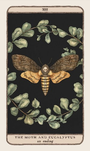 Woodland Wardens: A 52-Card Oracle Deck & Guide Cards by Jessica Roux