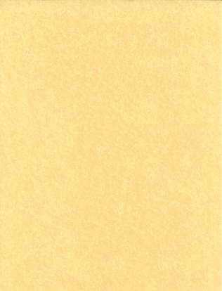 Light Parchment Paper 25 Pack (8 1/2" x 11")