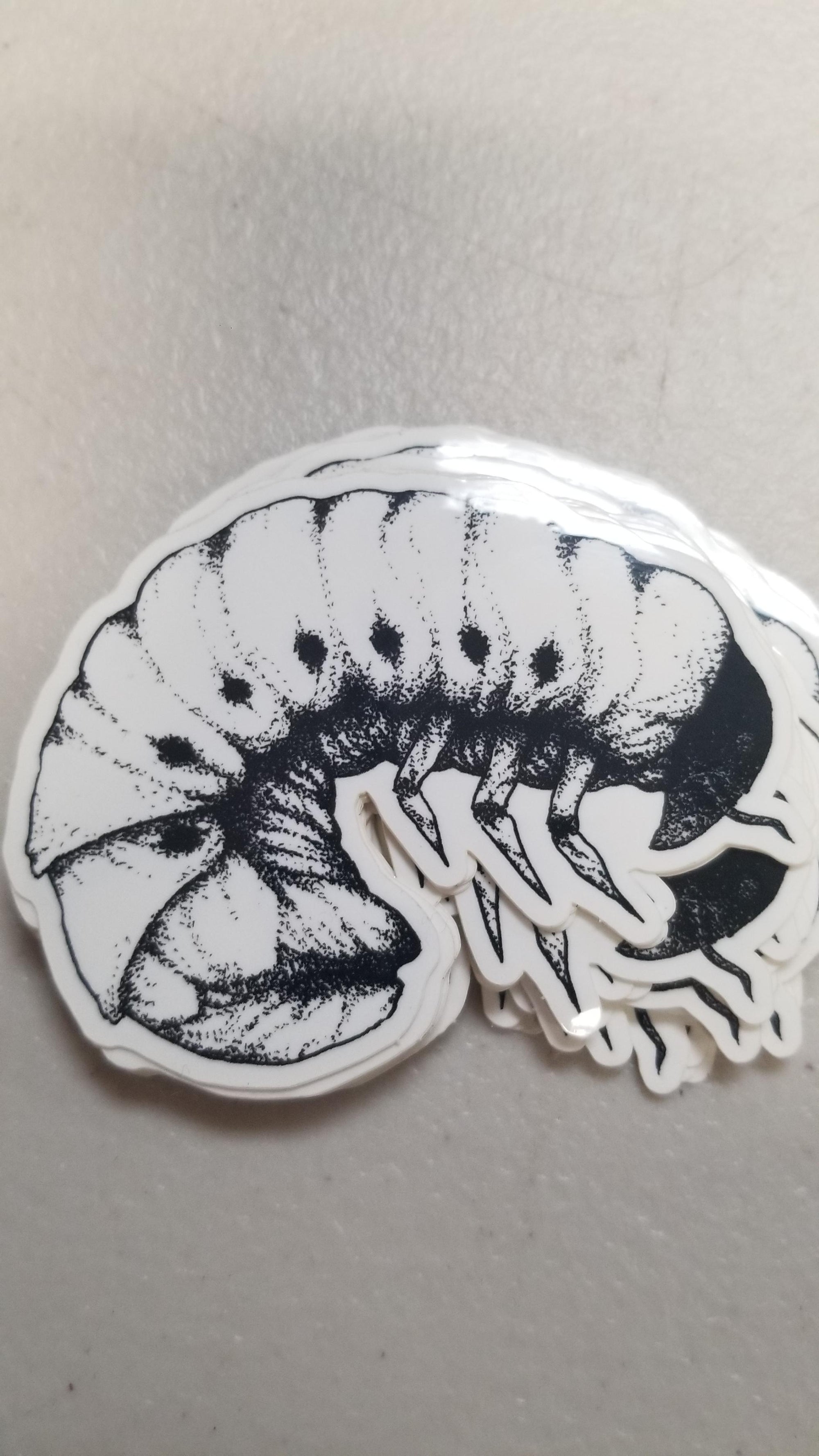 CC Maggot Sticker