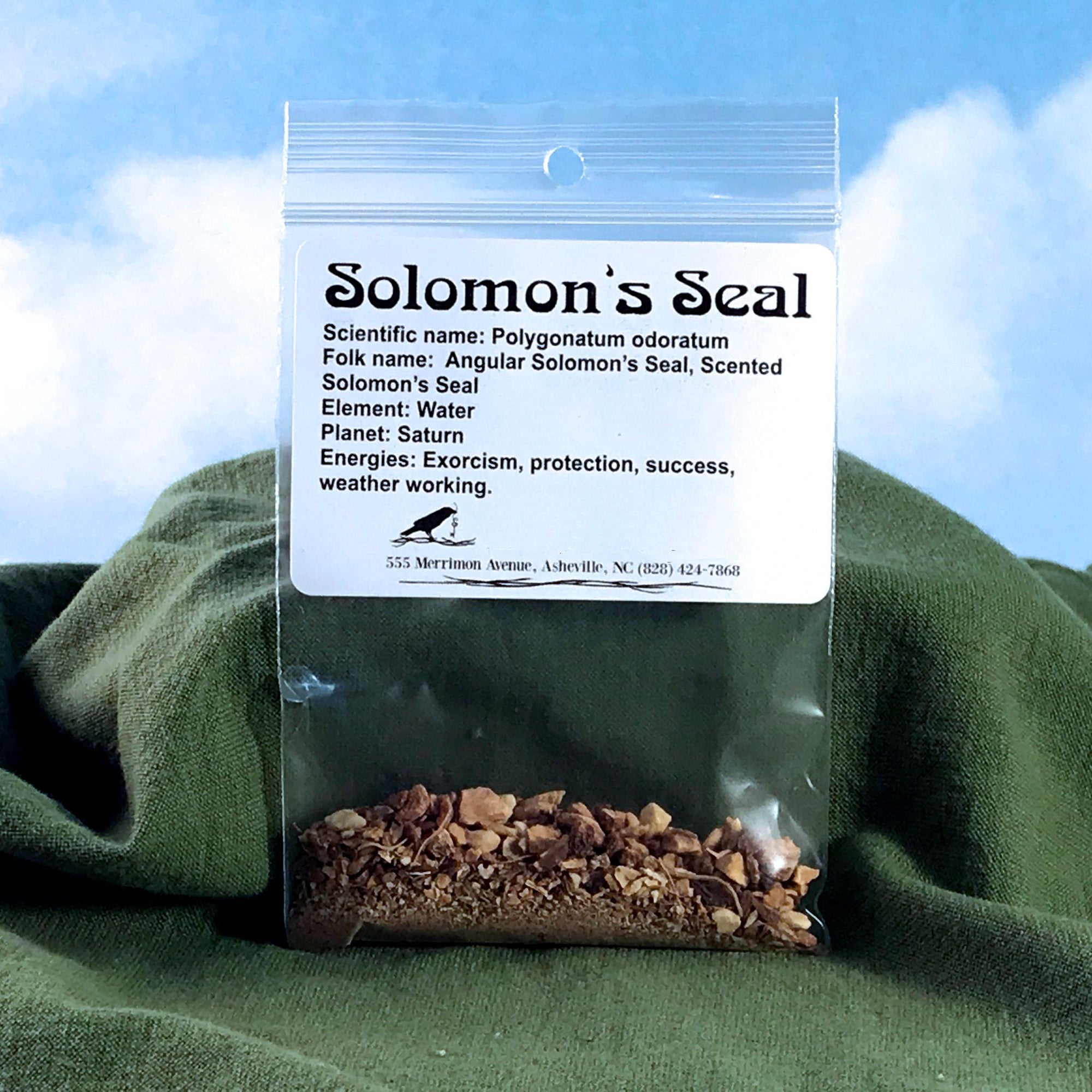 Solomon's Seal