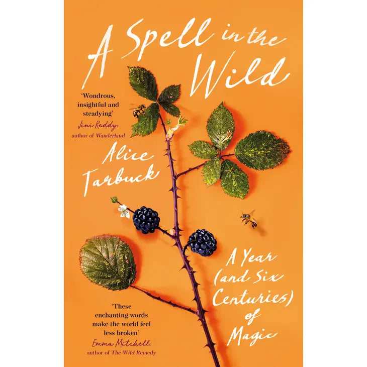 Spell in the Wild: A Year (and Six Centuries) of Magic