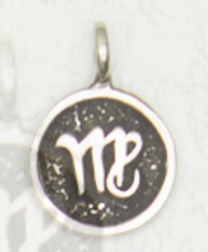 Zodiac Necklace Talismans Symbol